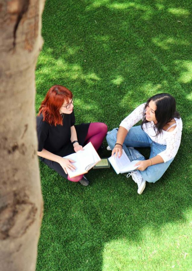 Two women sitting under a tree