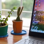Image of two plants and a computer on a desk.