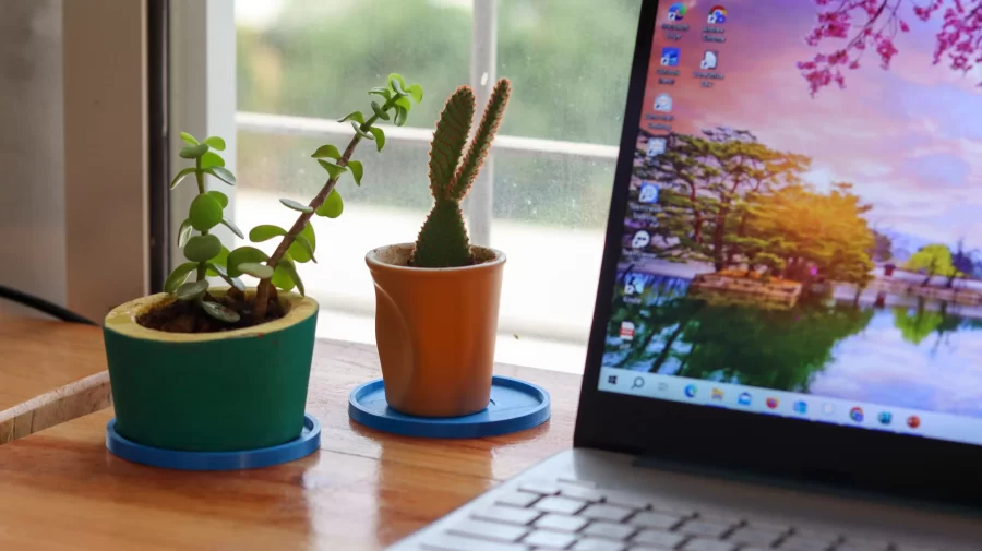 Image of two plants and a computer on a desk.