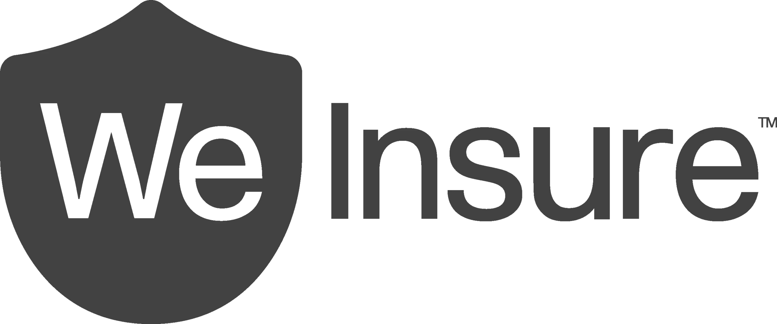 WE-INSURE-scaled.webp